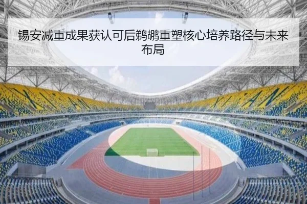 锡安减重成果获认可后鹈鹕重塑核心培养路径与未来布局 - cc7c7.app